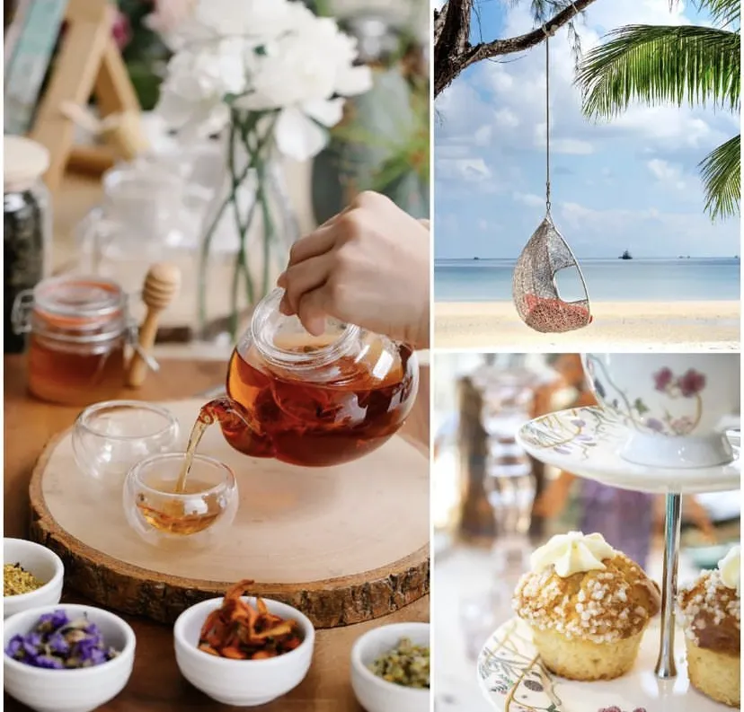 Afternoon high tea in healing cafe